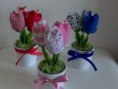 Vasos perfumados pequenos de tulipas 